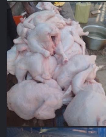 Dressed whole broiler chickens from Right Brodas Agro Venture