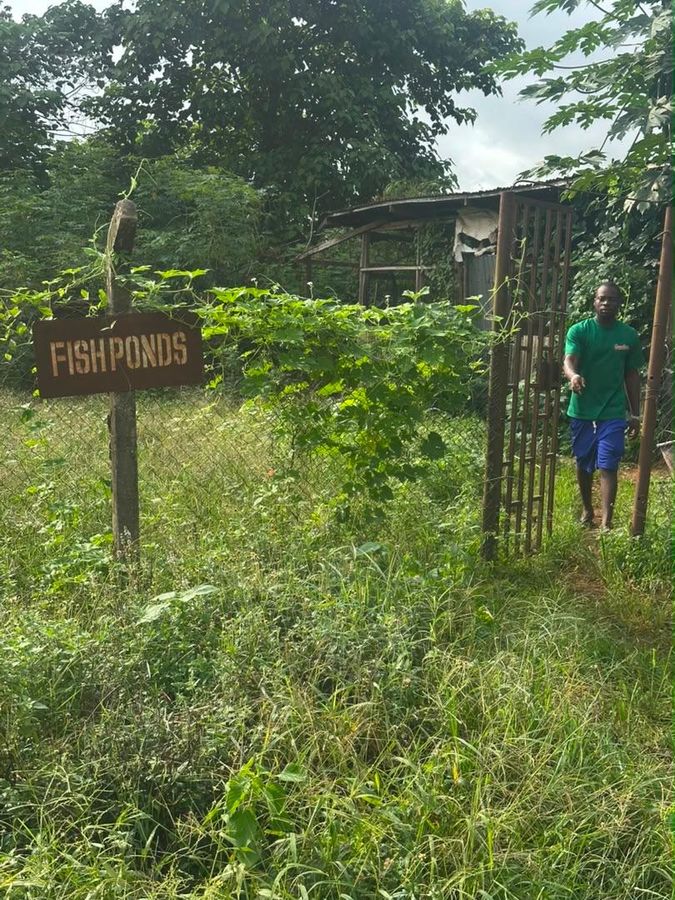 Entrance gate to the fish ponds section of the farm