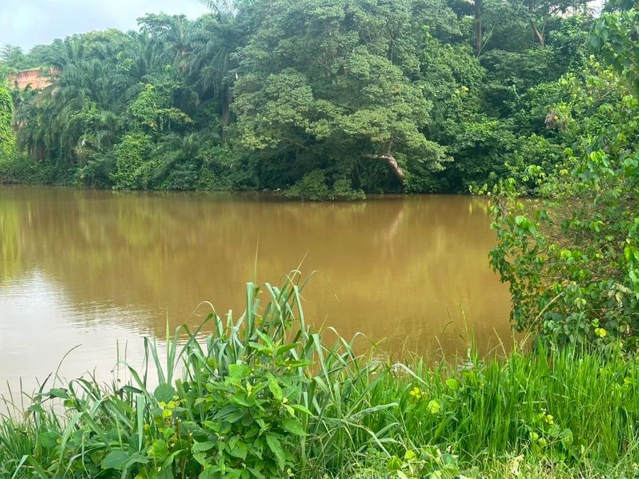 Wide view of the Right Brodas fish pond surrounded by greenery